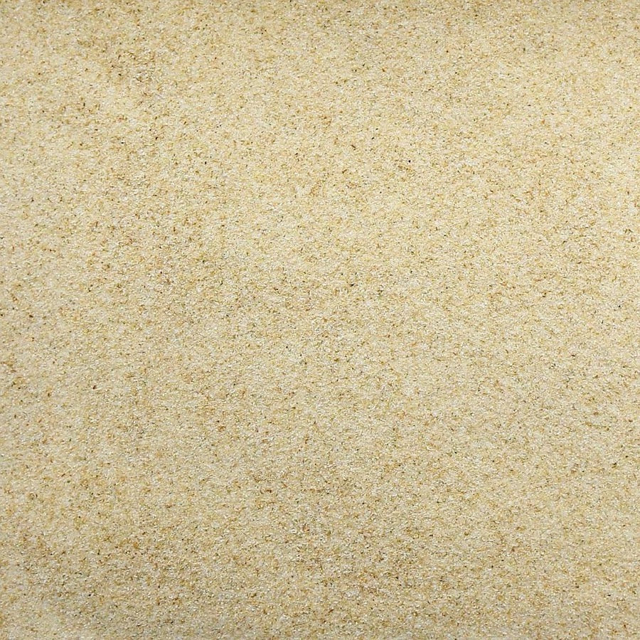 Organic onion powder refill packet from Essential Organics, showcasing the powdered onion in a resealable bag.
