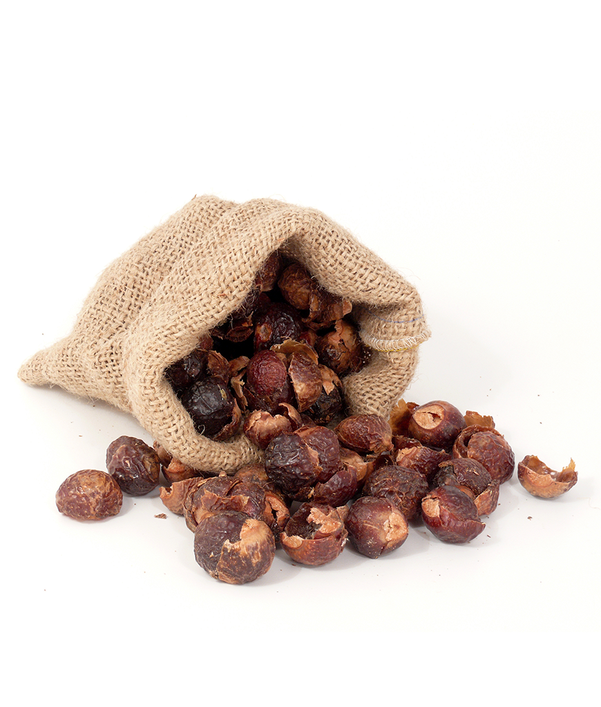 Organic Raw Soap Nuts - Off the Bottle Refill Shop