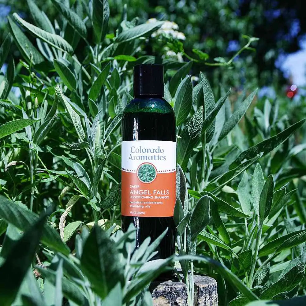 Angel Falls Conditioning Shampoo - Off the Bottle Refill Shop