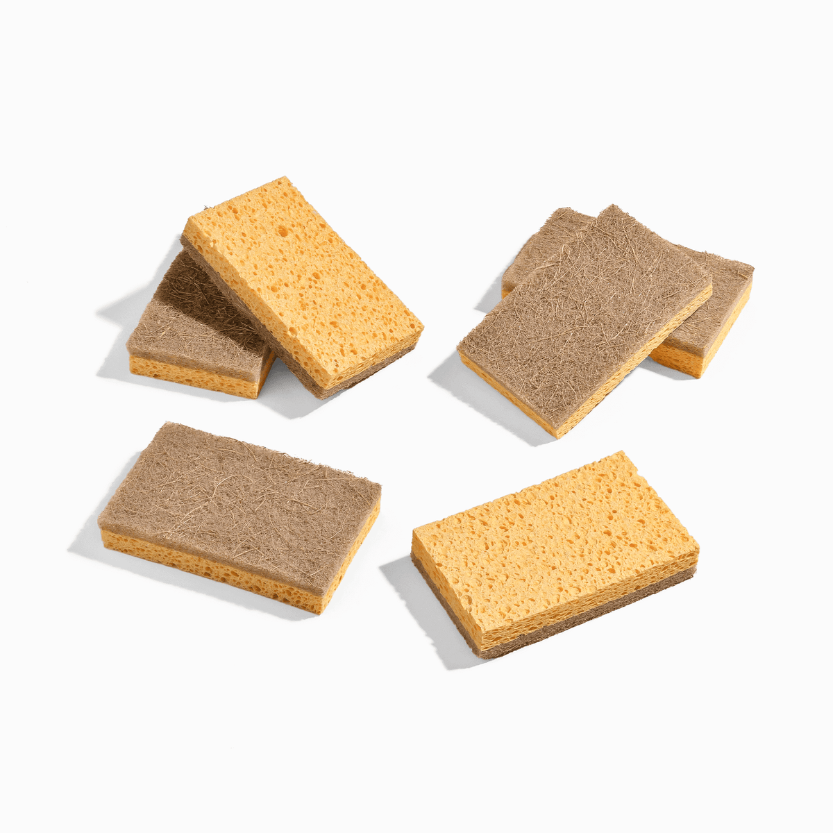 Six plant-based kitchen sponges from Element Brooklyn arranged in a pack, showcasing eco-friendly cleaning tools.
